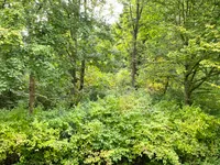 Blick vom Balkon