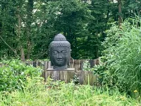 Alles grün - auch jenseits des Gartens