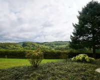 Ausblick auf Wald und Wiesen