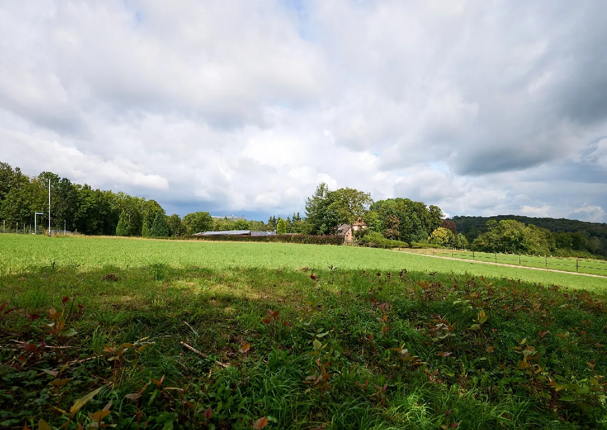 1,5 ha großes Grundstück