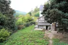 Blick in den Hausgarten