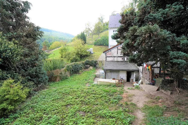 Blick in den Hausgarten