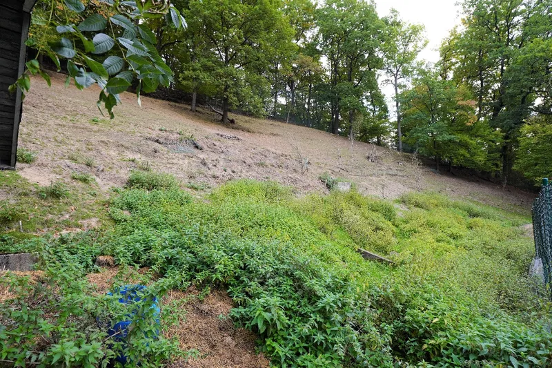 Die angrenzende Weidefläche