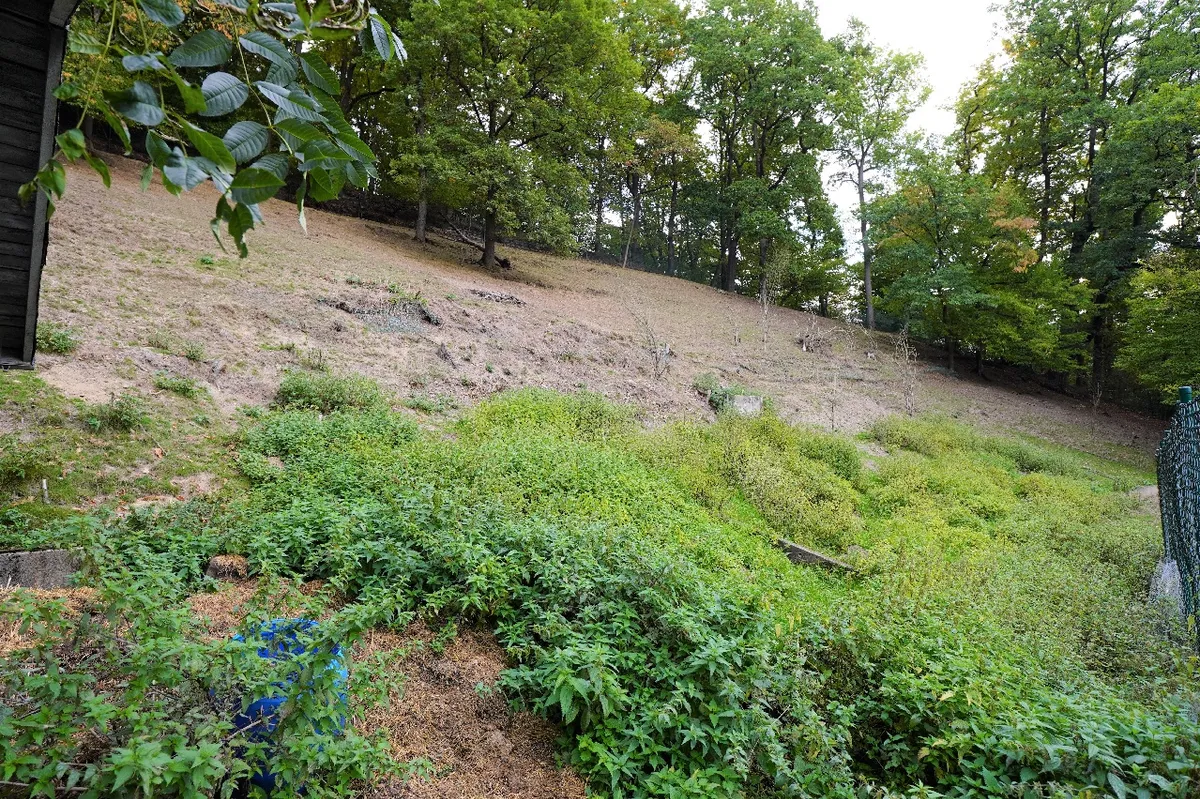 Die angrenzende Weidefläche