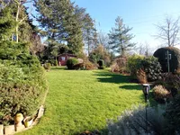 Der wunderschöne Garten mit Gartenhaus und Feuerstelle