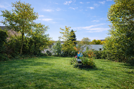 Gemeinschaftlicher Garten