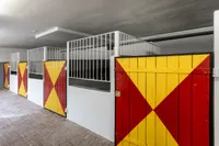 Pferdestallungen im Gebäude