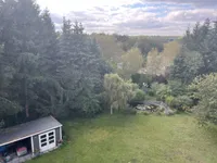 Blick in den Garten