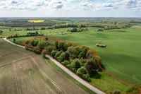 Luftaufnahme: parkähnliches Grundstück und angrenzende Hausweide/Pferdekoppel