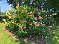 weitere Impressionen