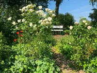 weitere Impressionen