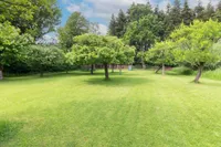 Garten mit Obstbäumen