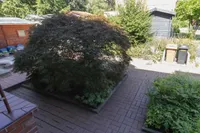 Grundstück vor dem Haus
