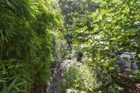 eingewachsener Garten