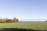 Weitblick