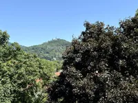 Aussicht auf das Schloß Auerbach