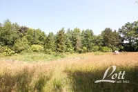 Gartenbereich