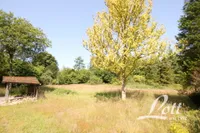 Gartenbereich