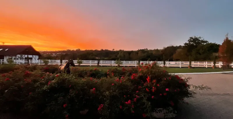 Anwesen mit Sonnenuntergang