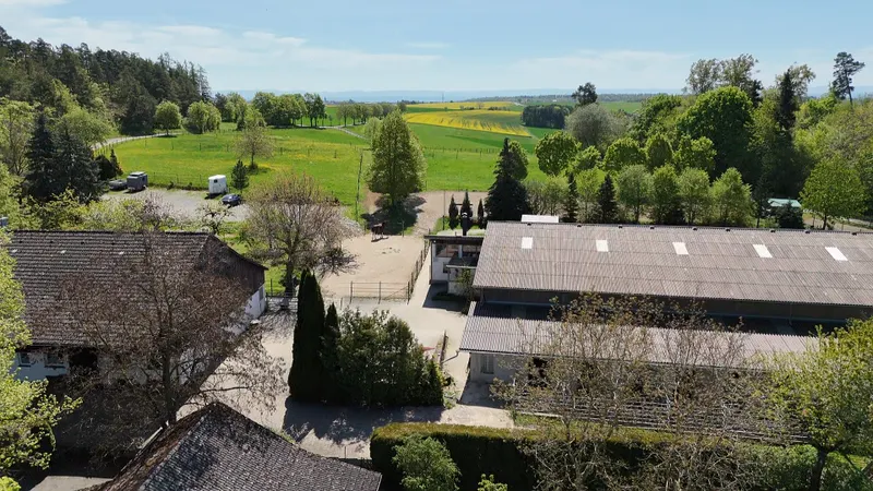Hengstler Immobilien