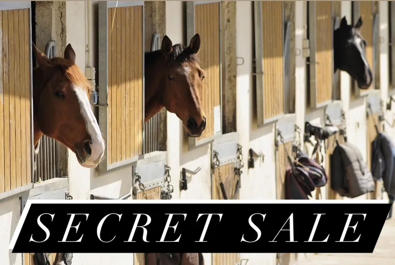 Secret Sale Reitanlage