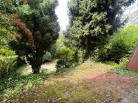 Aussicht in den Garten