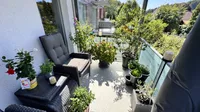 Balkon 