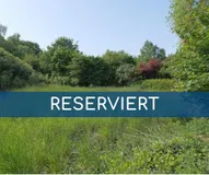 Real Estate Title Image Background