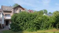 Rückseite