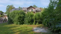 Rückseite