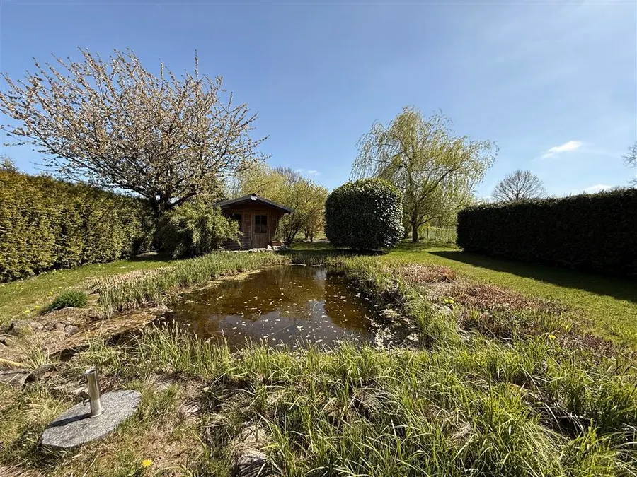 Garten mit Teich
