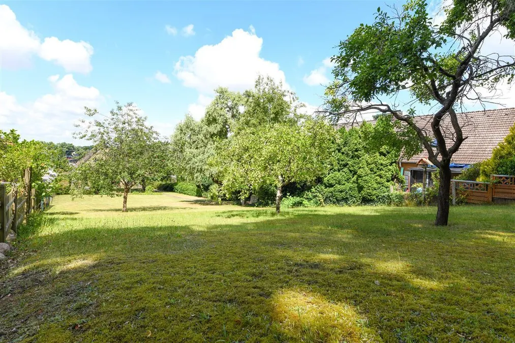 Garten/mögl. Baugrundstück