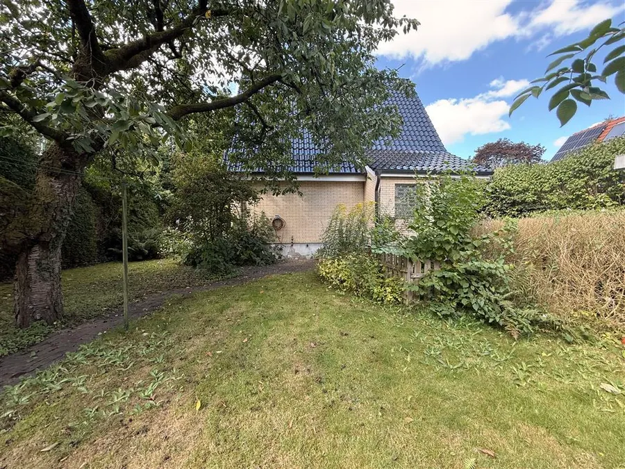 Garten mit Blick ins Haus