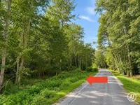 Waldgrundstück