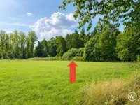 Waldgrundstück