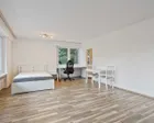 Wohn-/Schlafzimmer