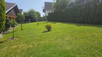 Wiesengrundstück