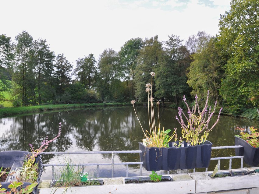 Blick auf den See von der Terrasse