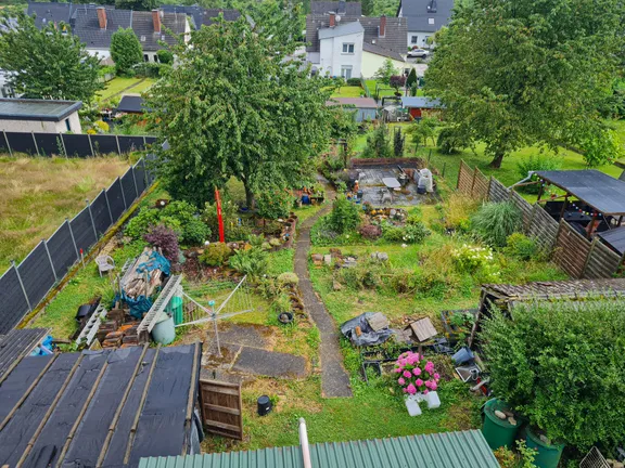 Blick in den Garten