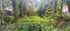 Gartenansicht