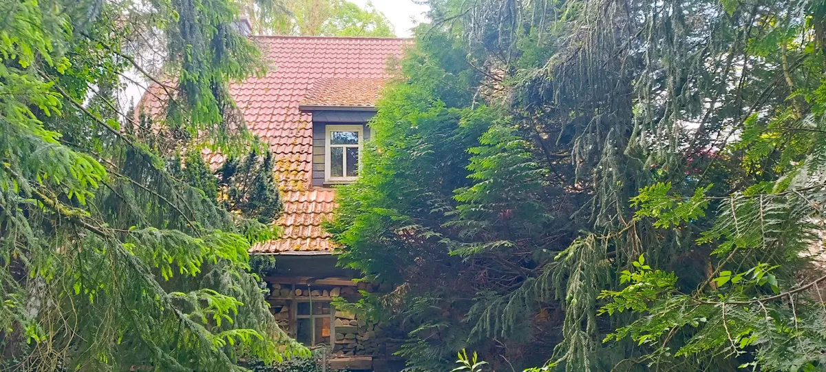 Rückansicht