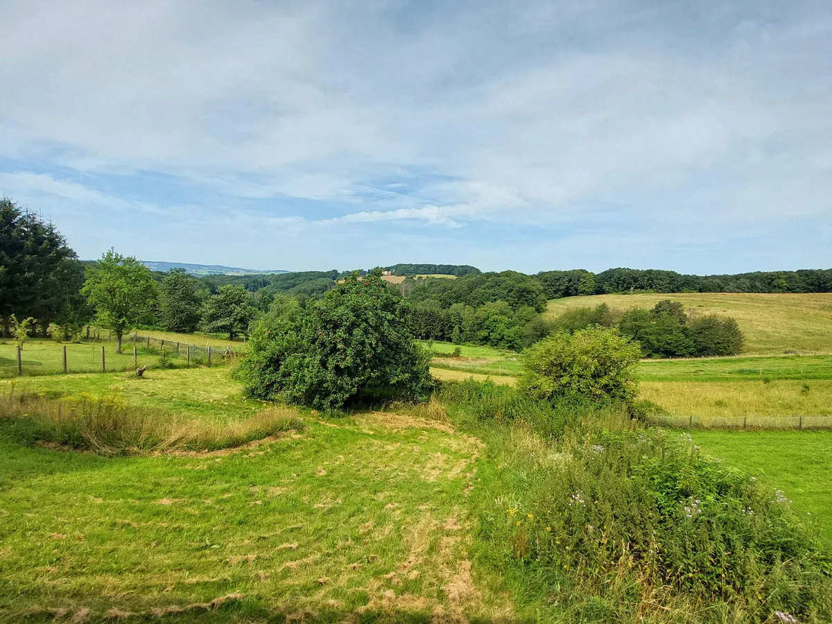 Aussicht von der Terrasse