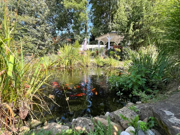 Schön angelegter Fischteich und Gartenpavillon