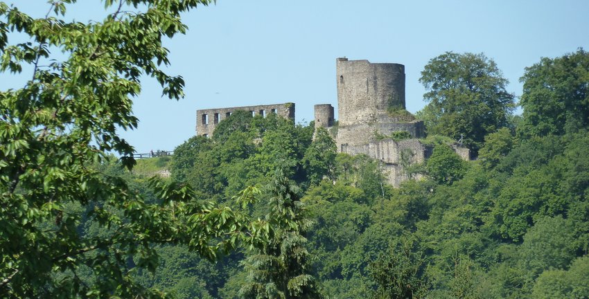 Umgebung: Burg Windeck (22)