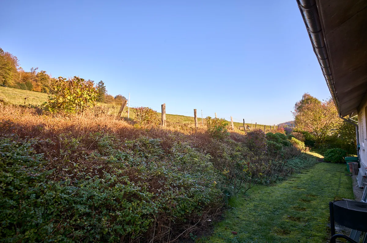 Grundstück hinter dem Haus