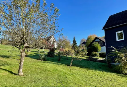 großer Garten mit Gestaltungsmöglichkeiten