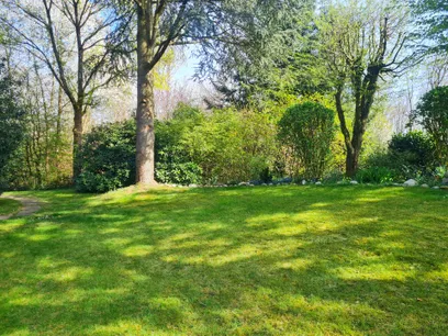 Blick ins Grüne