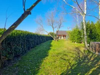 Blick in den Garten