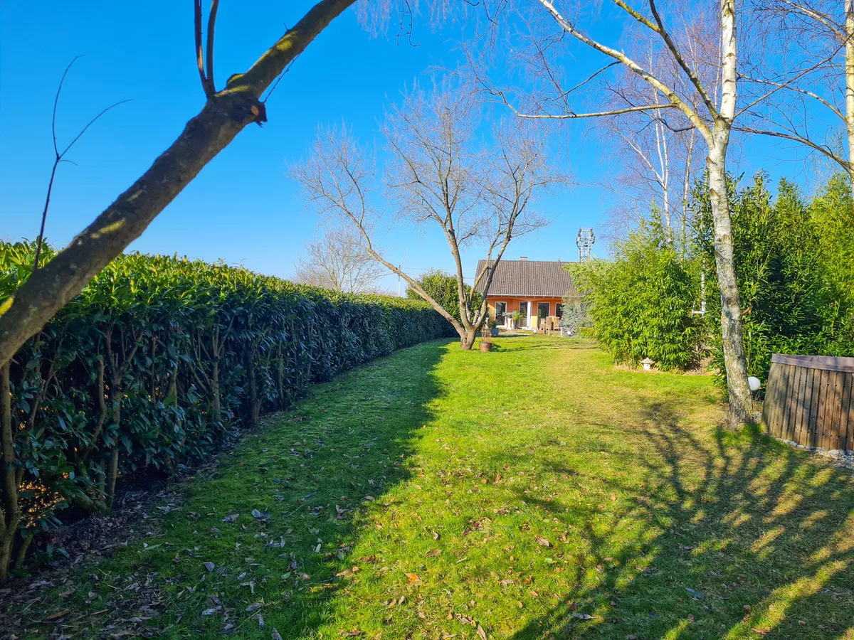 Blick in den Garten