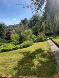 Garten im Sommer 